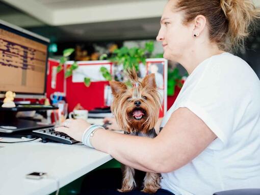 mulher com cachorro no escritório