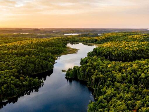 vista aérea da floresta e paisagem fluvial