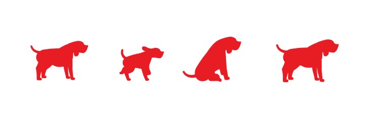 Seletor de raças de cão