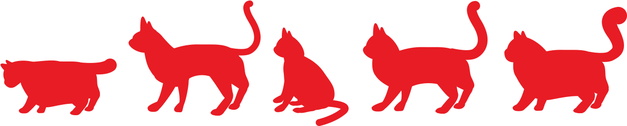 Principais características da raça de gatos Seletor de raças de gato