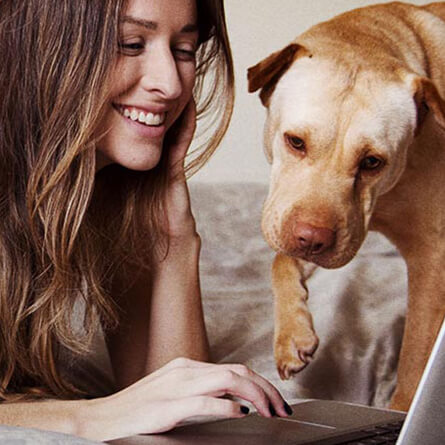 mulher e cachorro a olhar para o computador