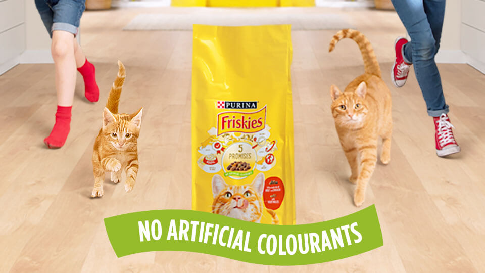 Alimentação Purina® FRISKIES Gato
