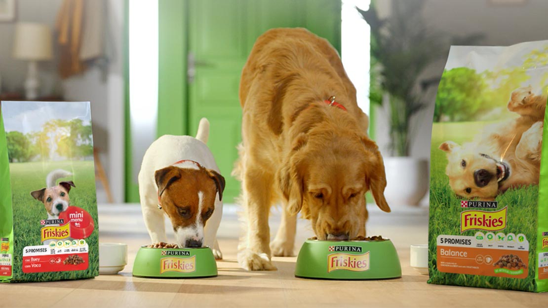 Alimentação Purina® FRISKIES Cães