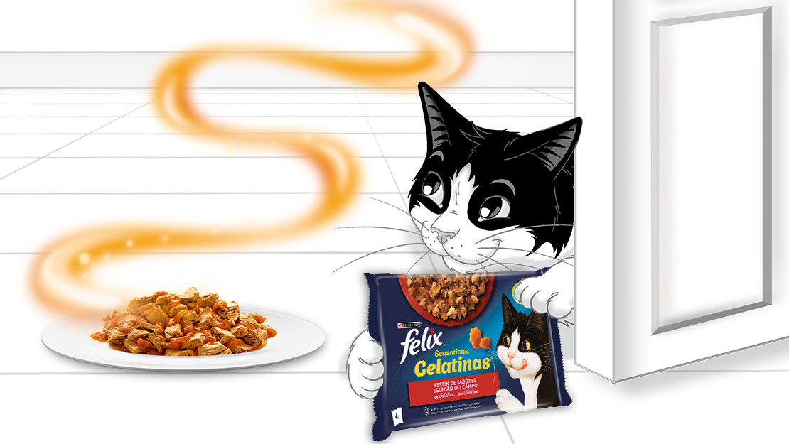 Gama Purina Felix Sensations
