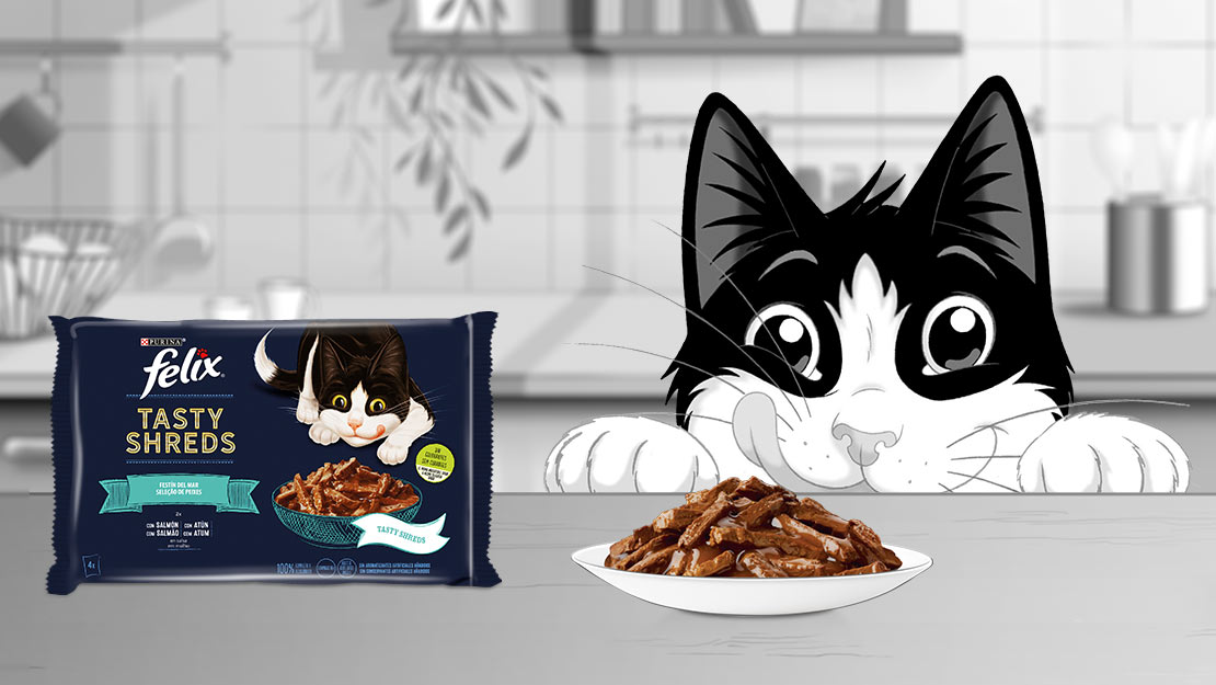 Gama Purina Felix Tasty Shreds