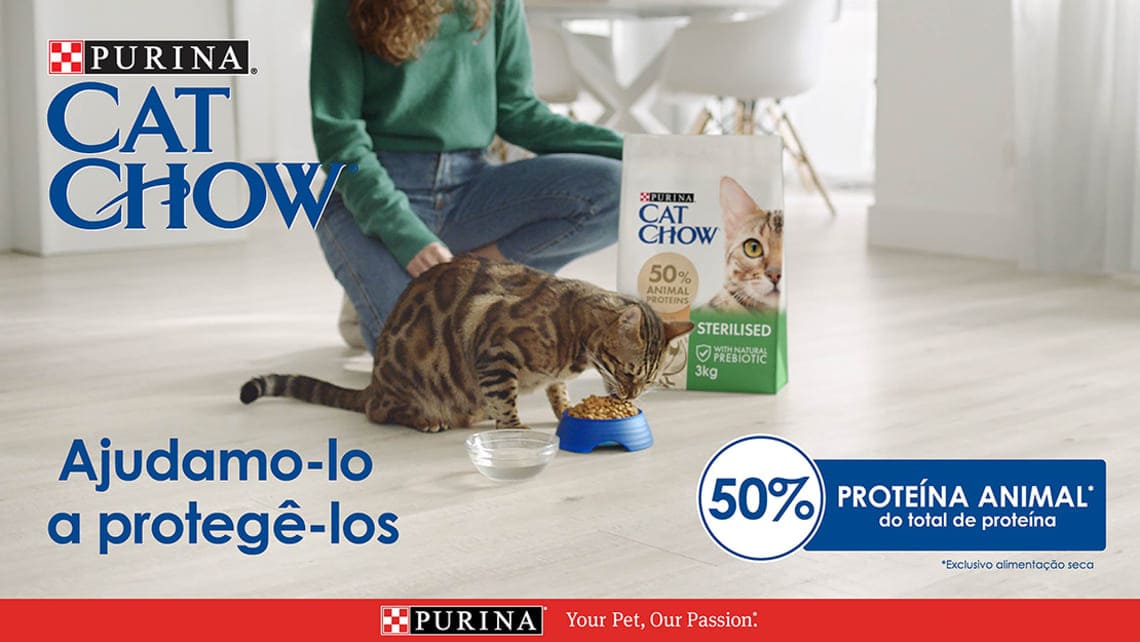 Ração para gato cat chow