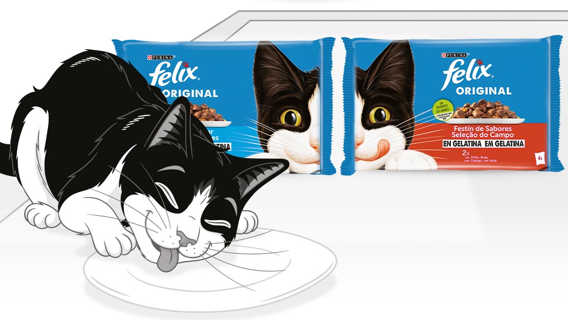 Gama Purina Felix Original