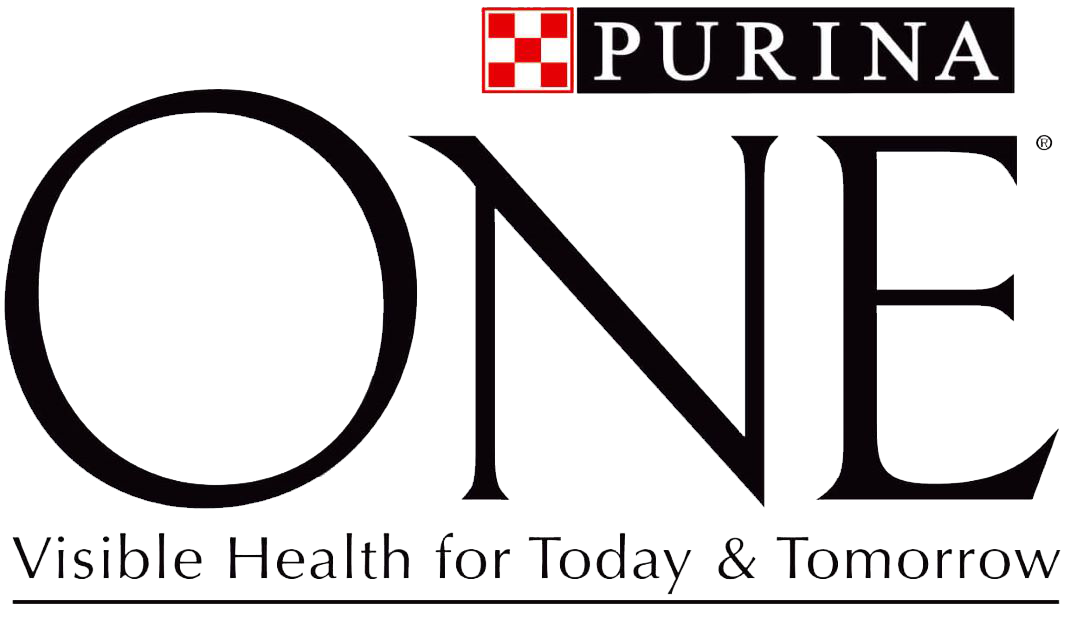 PURINA ONE