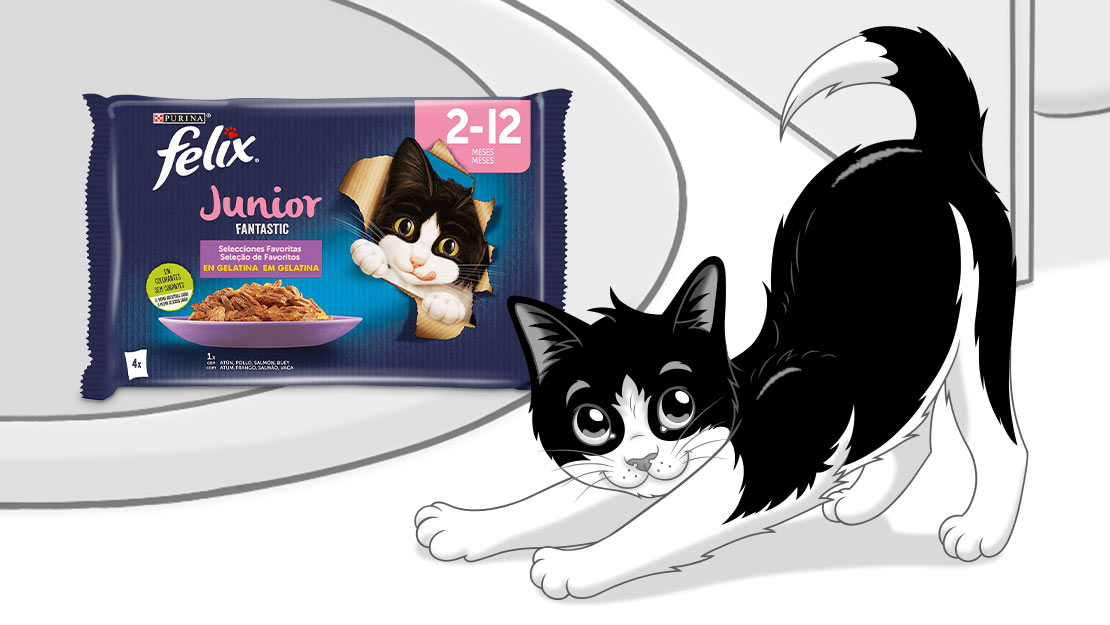 Gama Purina Felix Junior