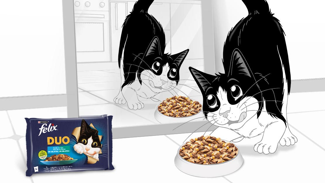 Gama Purina Felix Fantastic DUO