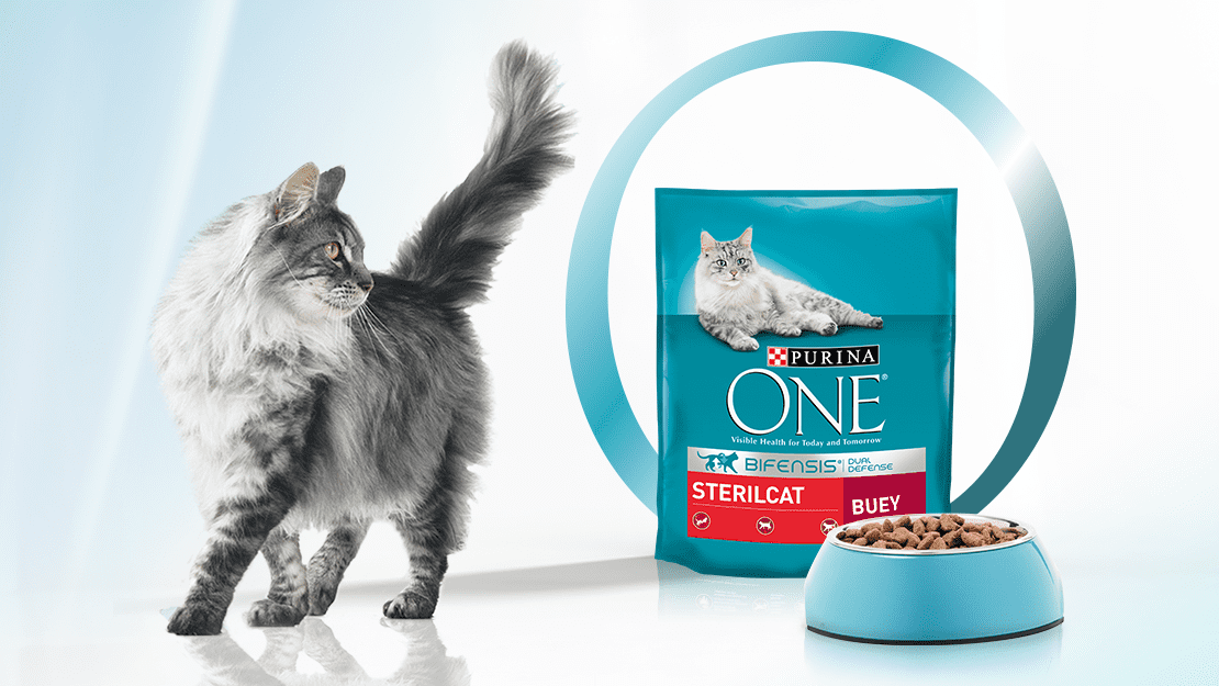 Página de listagem do Purina ONE Bifensis