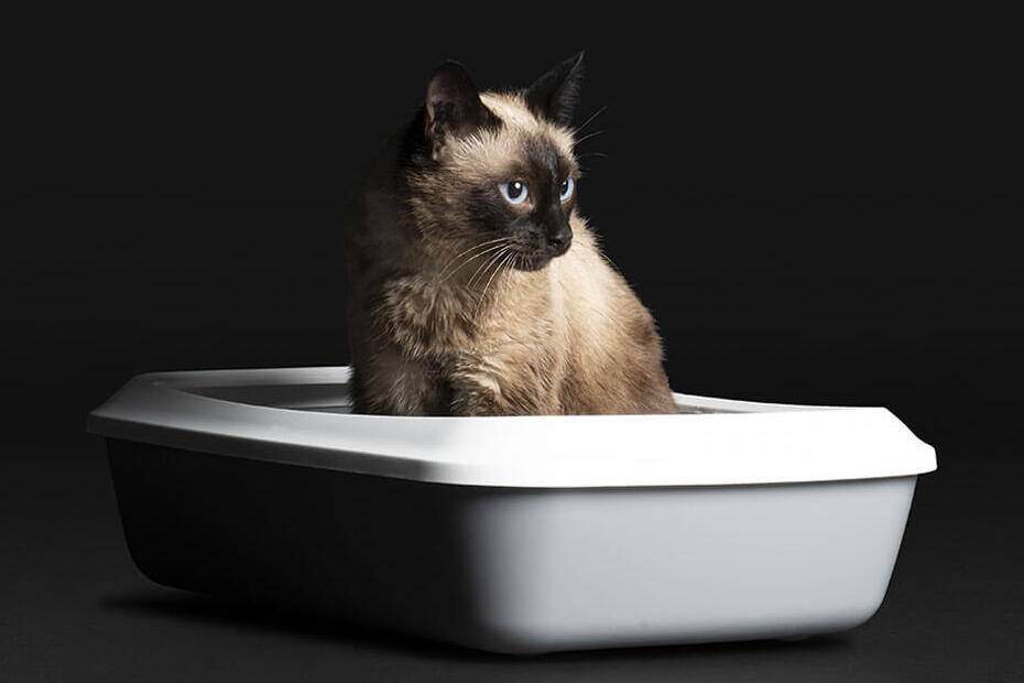 PRO PLAN® para Gatos Esterilizados