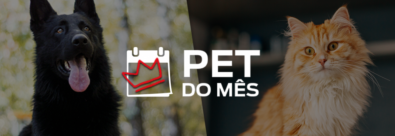 Pet do mês 2022