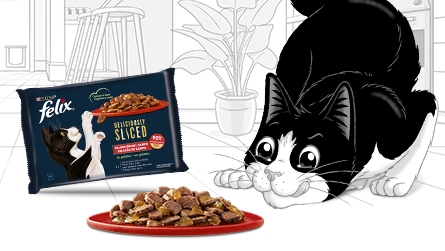 Alimento para gatos FELIX Deliciously Sliced