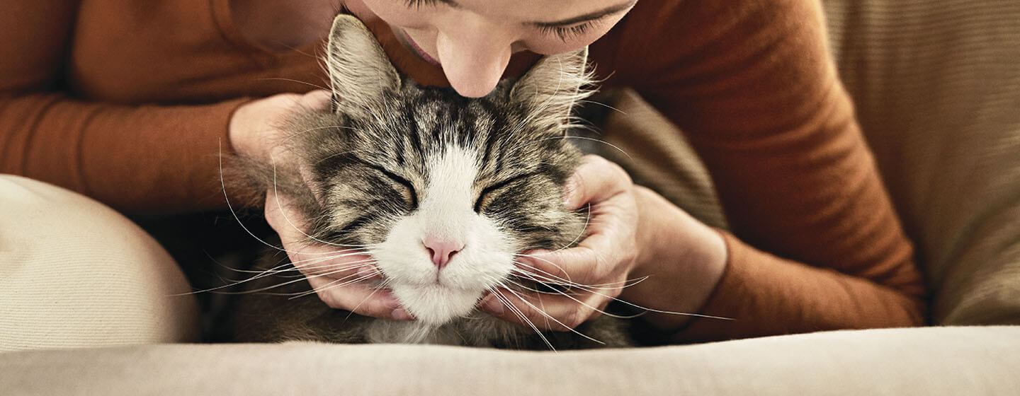 mulher inclinada sobre o gato para um beijo