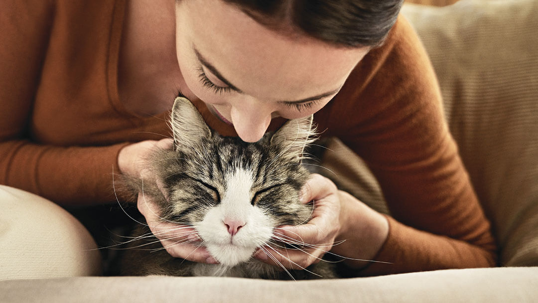 mulher inclinada sobre o gato para um beijo