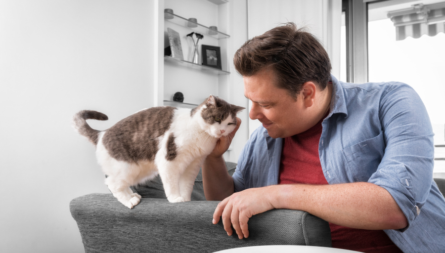 Um homem acariciando a cara do seu gato enquanto ele está deitado no braço do sofá