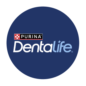 DENTALIFE