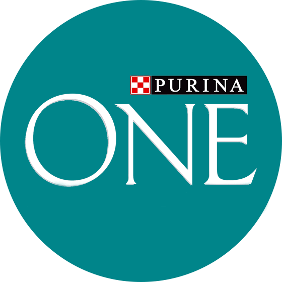 PURINA ONE logo