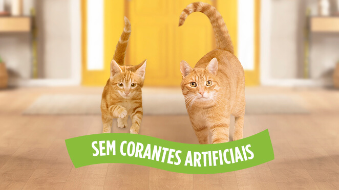 Alimentação Purina® FRISKIES Gato