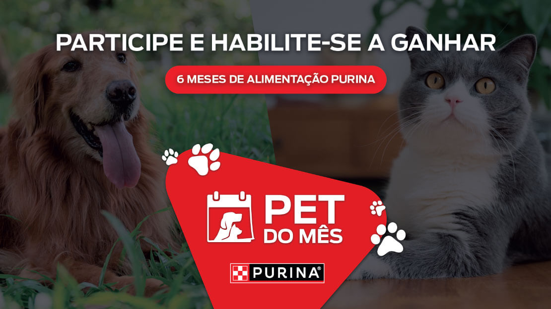 Passatempo PURINA “PET do Mês” - Condições de Participação