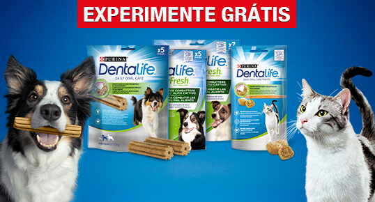  Experimente Grátis Snacks PURINA DENTALIFE