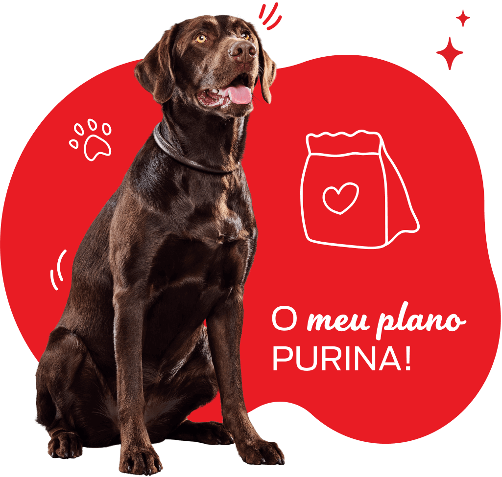 O plano PURINA do seu cão