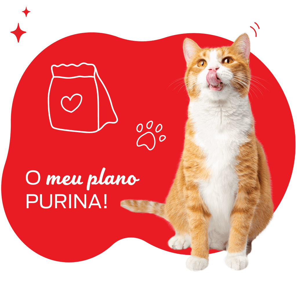 O plano PURINA do seu gato