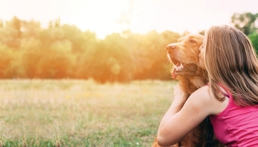 Tutora a beijar cão em passeio ao ar livre