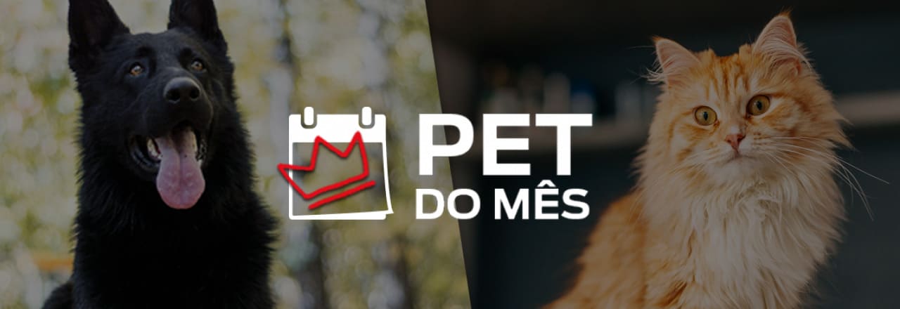 pet do mes