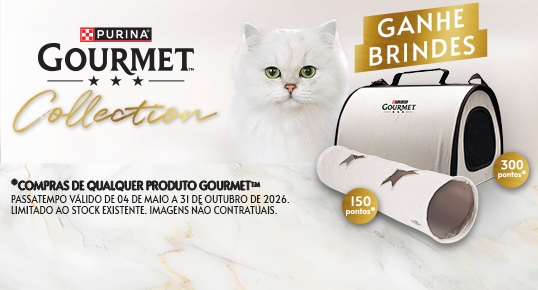 GOURMET Collection 2026