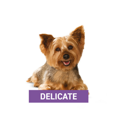 Delicate