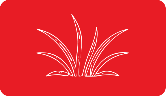 Pradarias de ervas marinhas