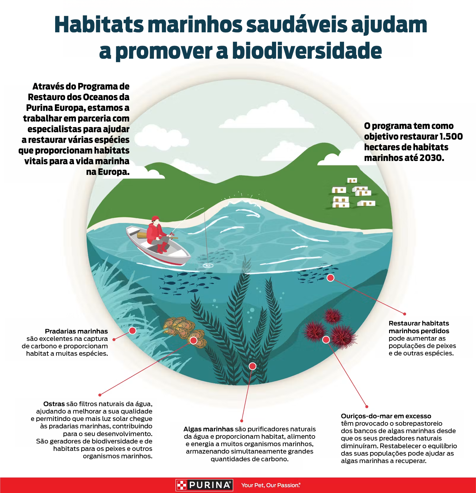 Infográfico habitats marinhos saudáveis