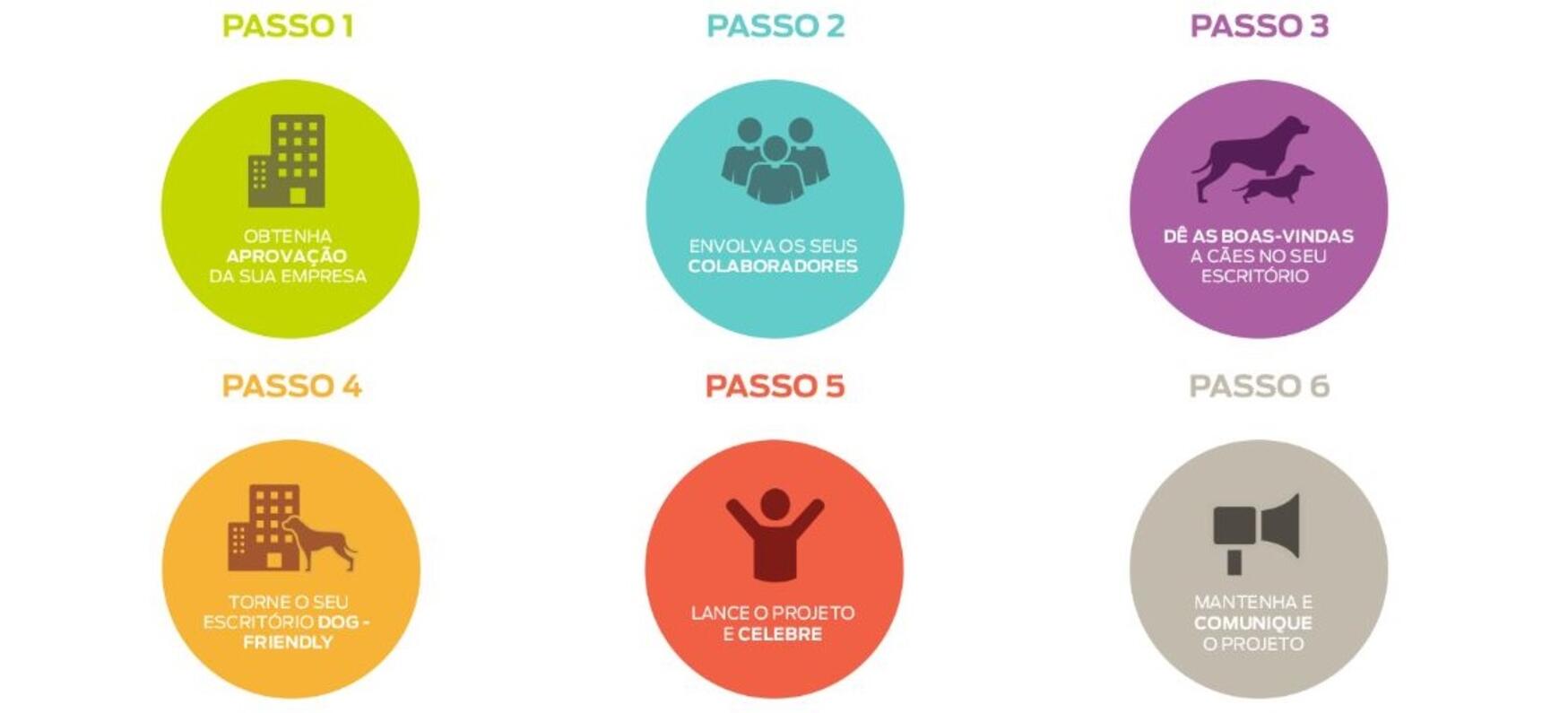 6 passos para animais de estimação no infográfico de trabalho