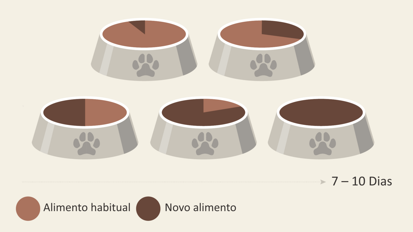 Ração para cachorro - mudar de comida