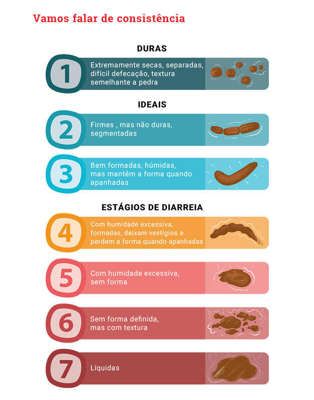 Perfect dog poop infographic
