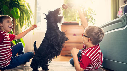 Crianças brincando com cachorro
