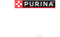 Purina One
