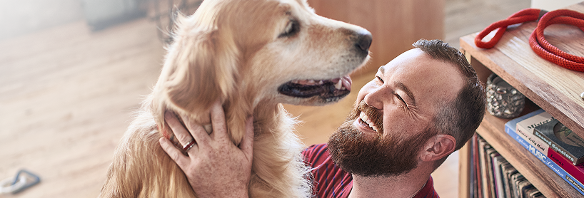Purina Corporate