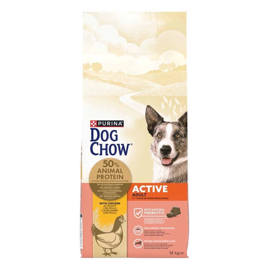 PURINA DOG CHOW Active com Frango