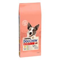 PURINA DOG CHOW Active com Frango