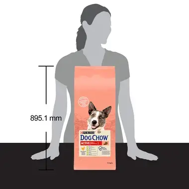 PURINA DOG CHOW Active com Frango