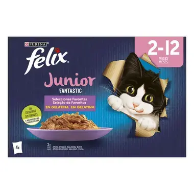 PURINA FELIX Fantastic Junior