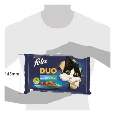 Fantastic Duo Seleção de Peixes