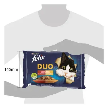 Fantastic Duo Saborosa Seleção