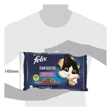 PURINA FELIX Fantastic Seleção de Favoritos
