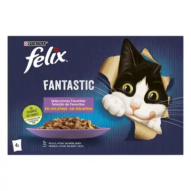 PURINA FELIX Fantastic Seleção de Favoritos