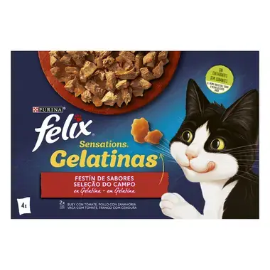 Felix Sensations Carnes