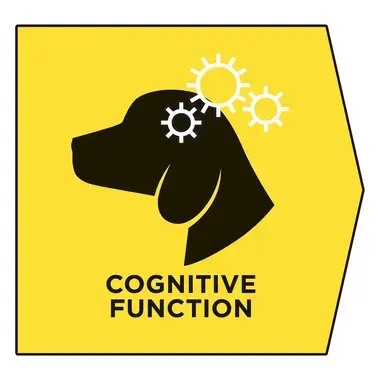 PRO PLAN Canine NC Neurocare